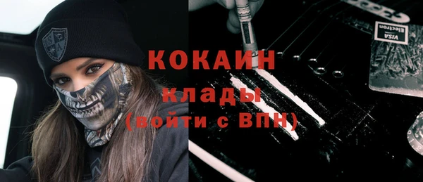 крисы Пестово