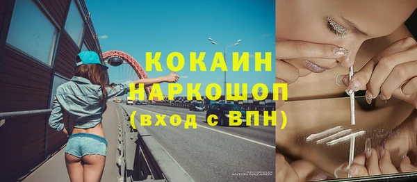 индика Алексеевка